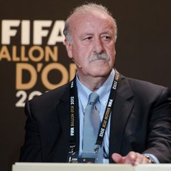 Vicente del Bosque en la rueda de prensa del Balón de Oro 2012