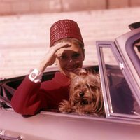 Audrey Hepburn en un descapotable con su inseparable perro