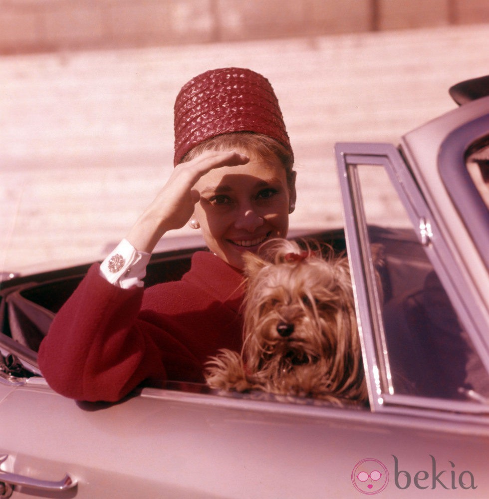 Audrey Hepburn en un descapotable con su inseparable perro