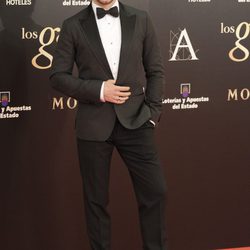 Quim Gutiérrez en la alfombra roja de los Goya 2013