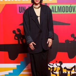 Bimba Bosé en el estreno de 'Los amantes pasajeros'