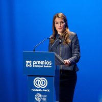 La Princesa Letizia en la entrega de los Premios Discapnet de la Fundación ONCE