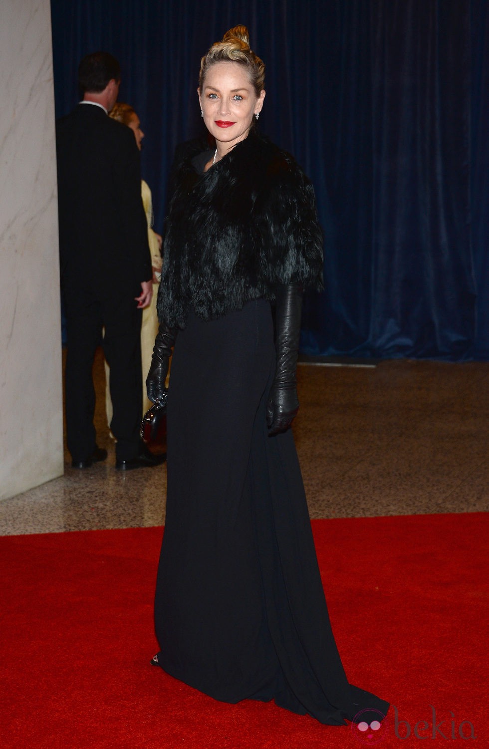 Sharon Stone en la 2013 White House Correspondents' Association