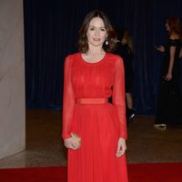 Emily Mortimer en la 2013 White House Correspondents' Association Dinner