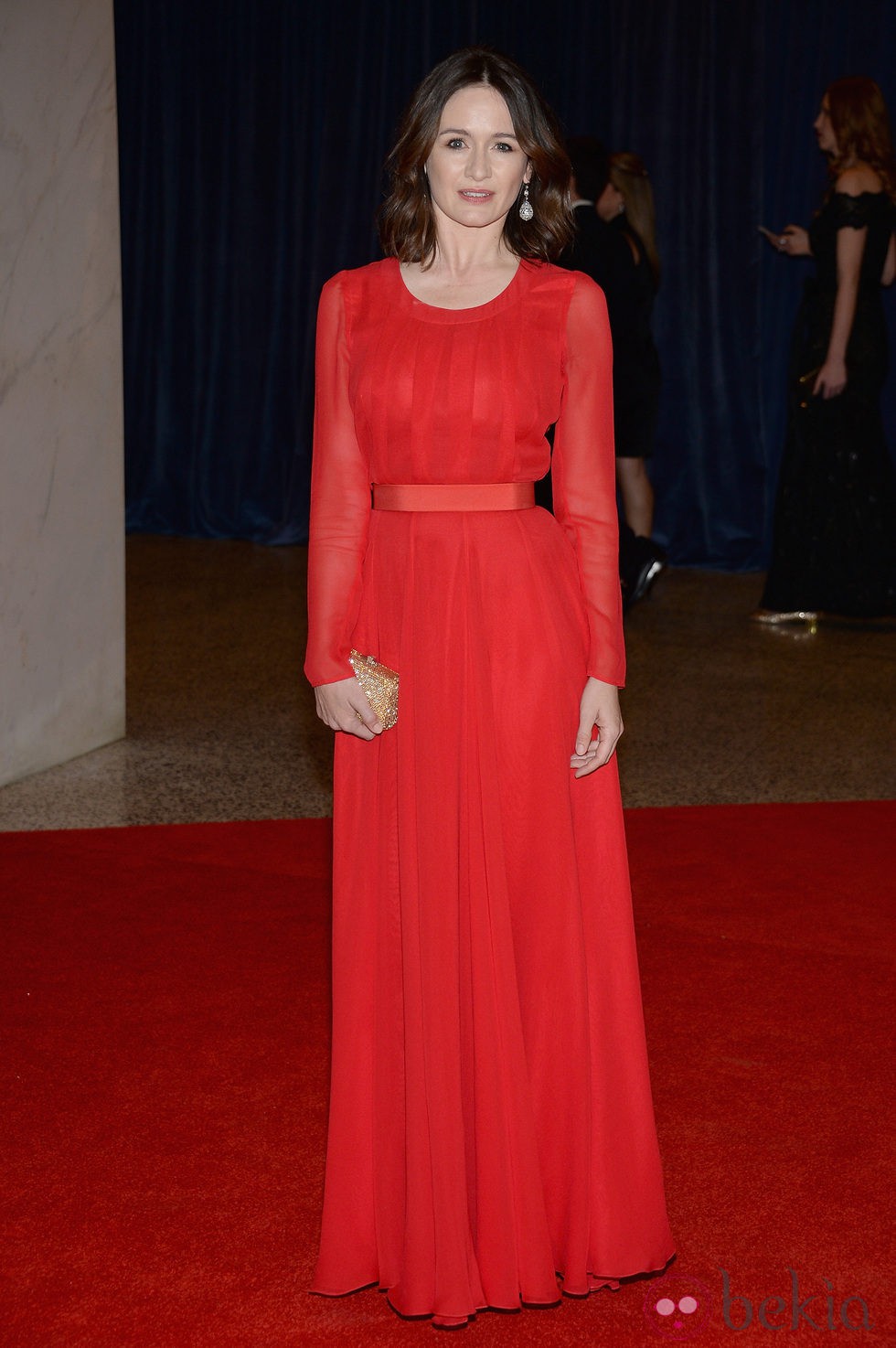 Emily Mortimer en la 2013 White House Correspondents' Association Dinner