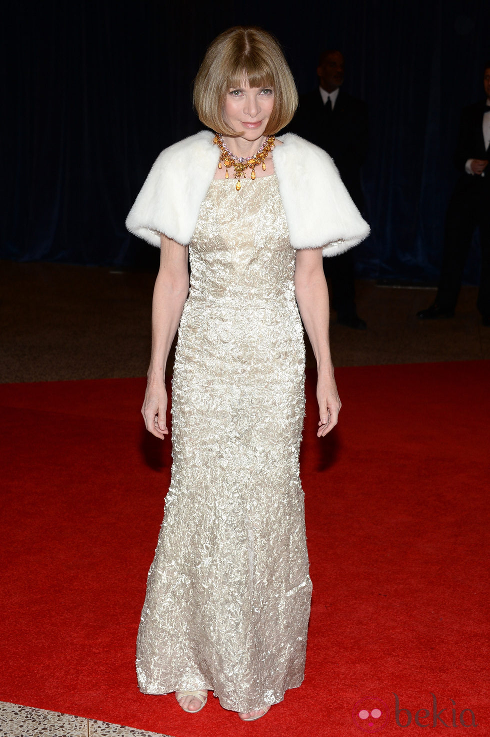 Anna Wintour en la 2013 White House Correspondents' Association Dinner