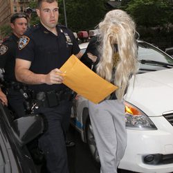 Amanda Bynes acude al juzgado con una peluca rubia