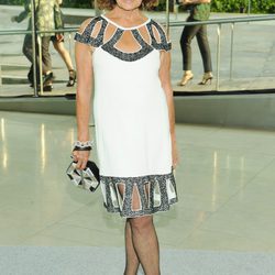 Diane von Fürstenberg en los Premios CFDA 2013