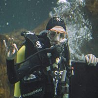 Raquel Sánchez Silva nadando entre tiburones en el Zoo de Madrid