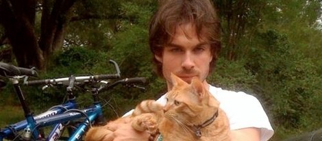 Ian Somerhalder encuentra a su gatito perdido