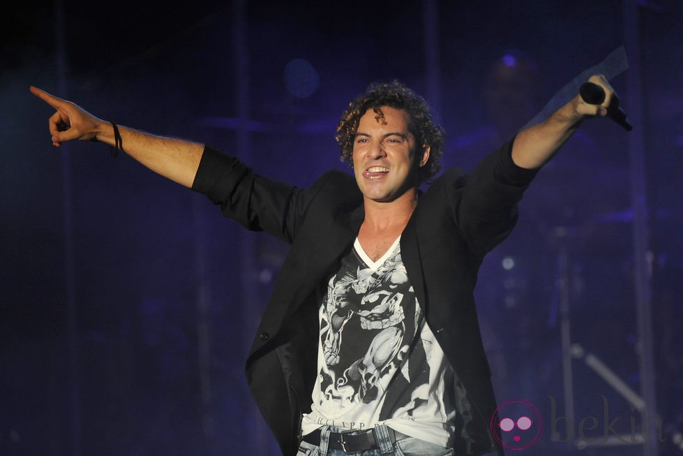 David Bisbal en su concierto del Starlite Festival 2013