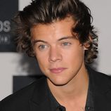 Harry Styles en los MTV VMA 2013