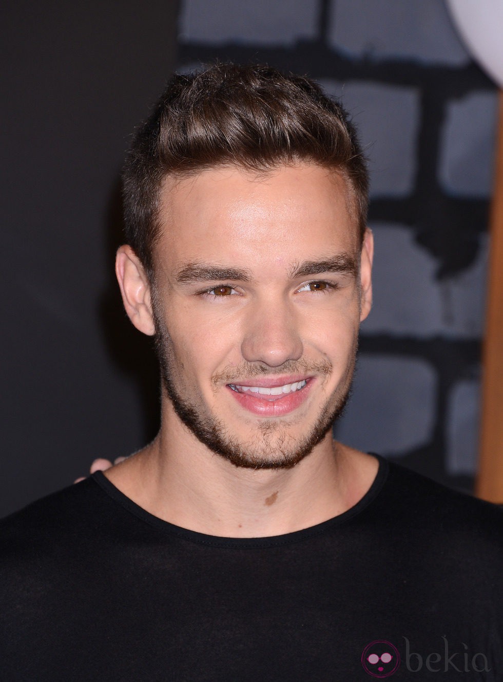 Liam Payne en la alfombra roja de los MTV VMA 2013