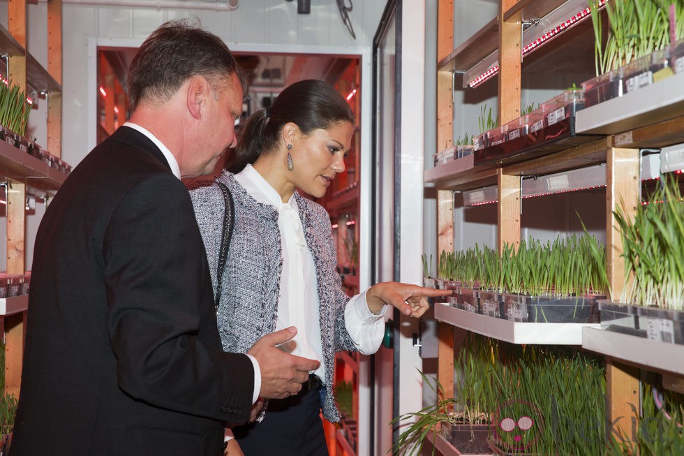 Victoria de Suecia aprende jardinería en Uppsala