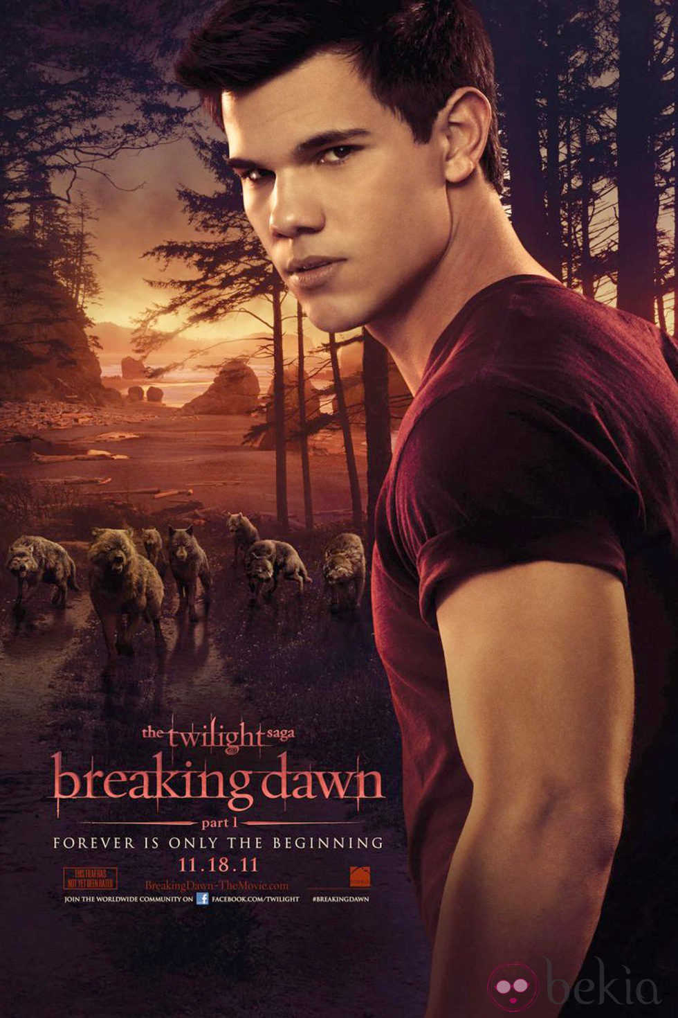 Taylor Lautner en el cartel de 'Amanecer Parte 1'