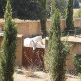 Caballos en el patio de la masía de Jacobo Fitz-James Stuart e Inka Martí