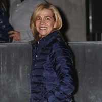 La Infanta Cristina visita al Rey