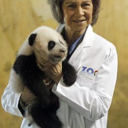 La Reina Sofía sostiene a una cría de panda en el Zoo de Madrid