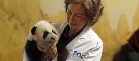 La Reina Sofía con una cría de oso panda en el Zoo de Madrid