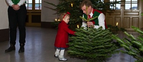 Estela de Suecia recoge un árbol de Navidad