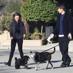 Ashton Kutcher y Mila Kunis paseando a sus perros por Los Angeles