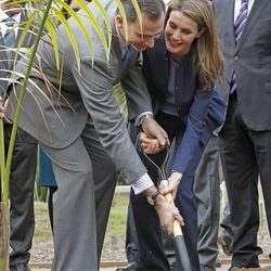 Los Príncipes Felipe y Letizia plantan una palmera en el Palmetum de Tenerife