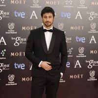 Hugo Silva en la alfombra roja de los Premios Goya 2014