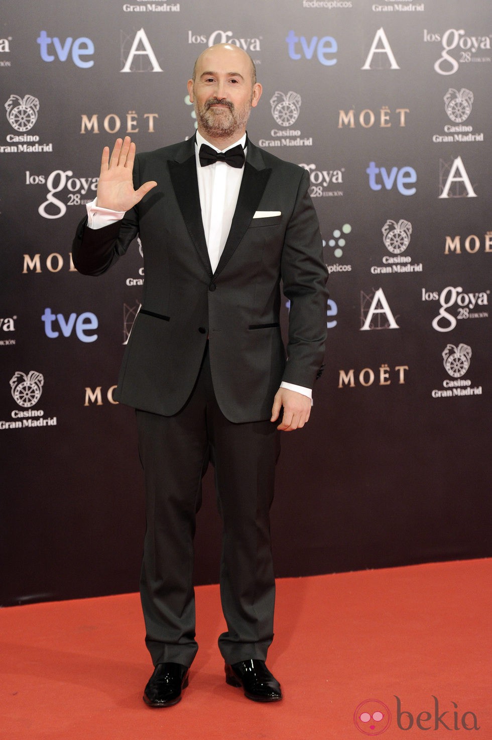 Javier Cámara en los Goya 2014