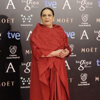 Terele Pávez en la alfombra roja de los Goya 2014