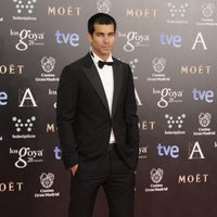 Rubén Cortada en los Premios Goya 2014