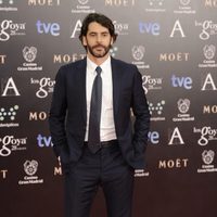 Eduardo Noriega en la alfombra roja de los Goya 2014