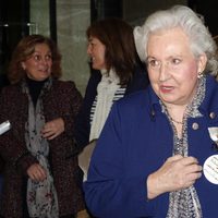 La Infanta Pilar en la inauguración del Rastrillo Nuevo Futuro de Sevilla 2014