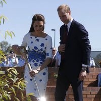 El Príncipe Guillermo y Kate Middleton plantando un árbol durante su visita a una base aéra en Australia