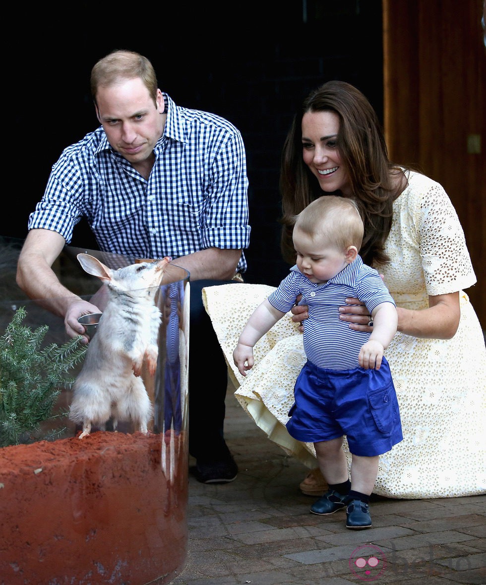 Los Duques de Cambridge con el Príncipe Jorge en un zoo de Sidney