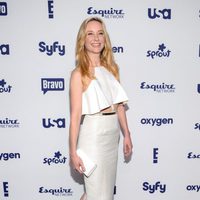 Anne Heche en los Upfronts de la NBC Universal 2014