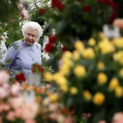 La Reina Isabel en el Chelsea Flower Show 2014