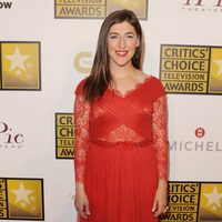 Mayim Bialik en los Critics' Choice Television Awards 2014