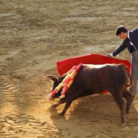 Jesulín de Ubrique toreando en la plaza de toros de Fuente del Maestre, Badajoz