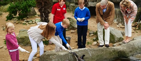 Felipe y Matilde de Bélgica con sus hijos dando de comer a unos pingüinos