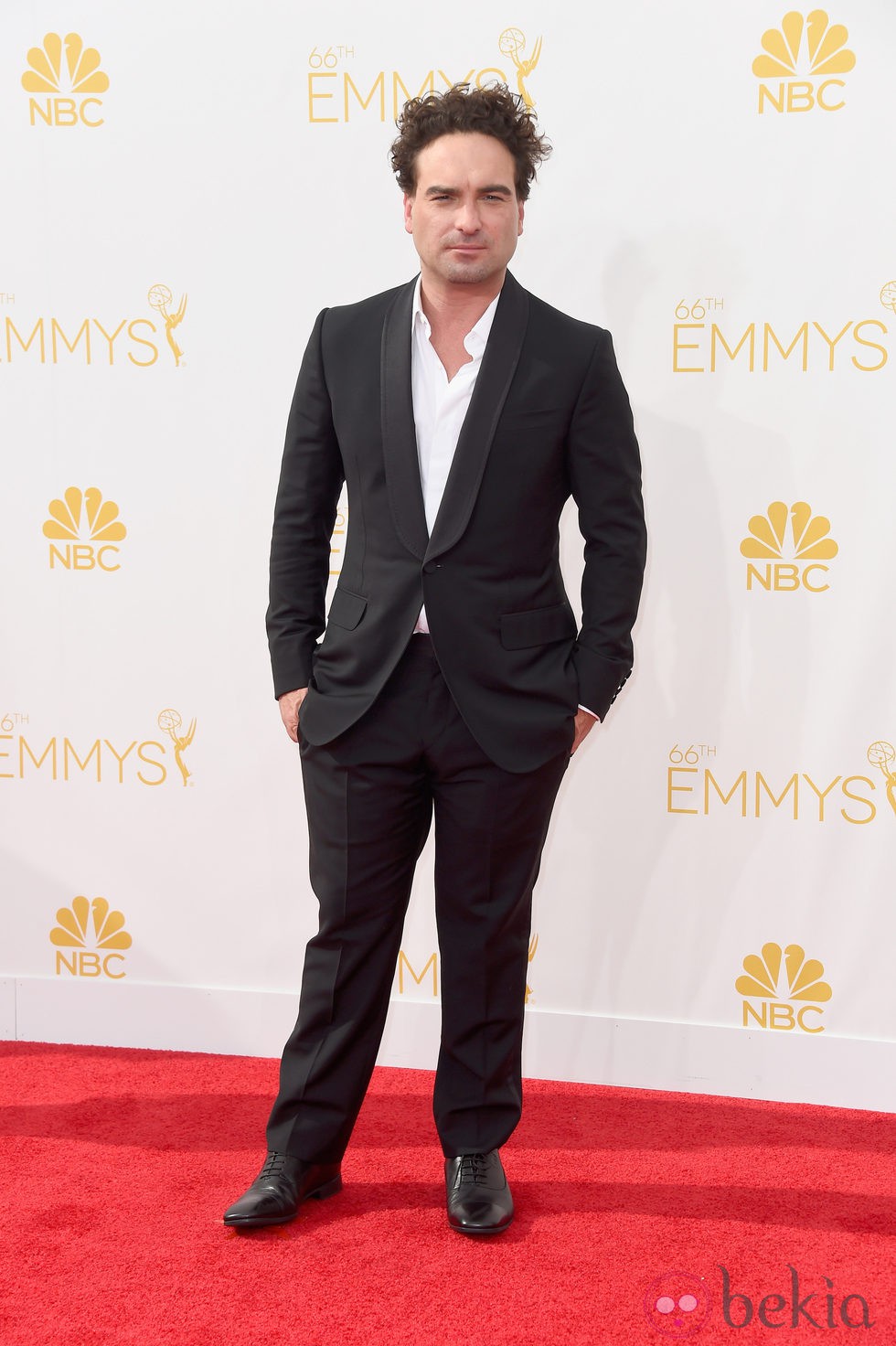 Johnny Galecki en la alfombra roja de los Emmy 2014