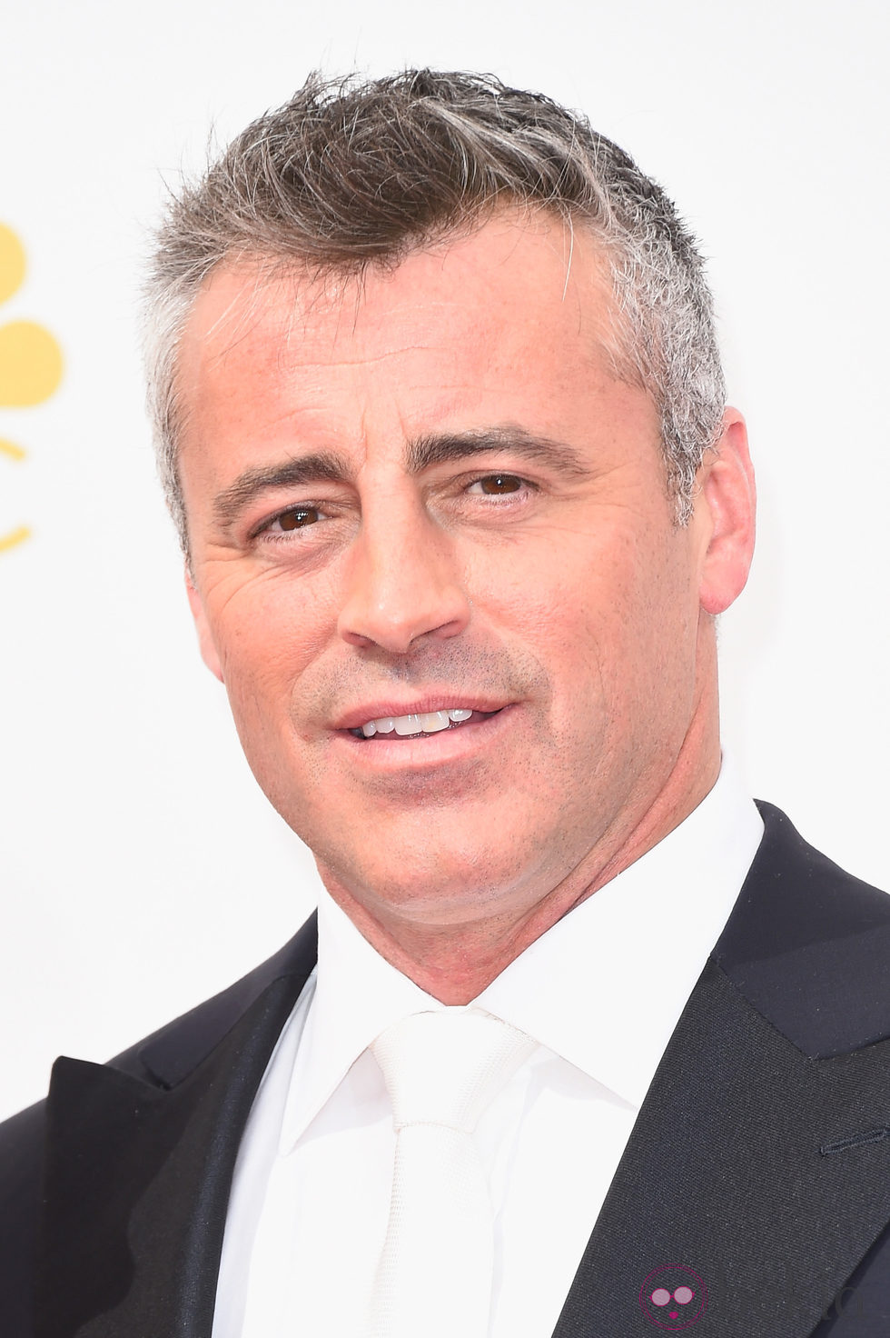 Matt LeBlanc en la alfombra roja de los Premios Emmy 2014