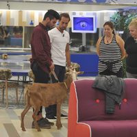 Hugo, José 'Papirrín-tin-tin', Mayca, Loli y Shaima en su primera noche en 'Gran Hermano 15'