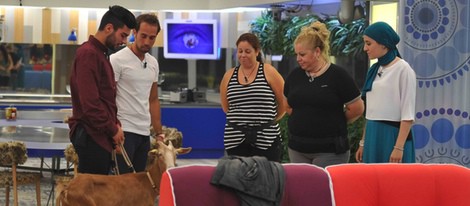 Hugo, José 'Papirrín-tin-tin', Mayca, Loli y Shaima en su primera noche en 'Gran Hermano 15'