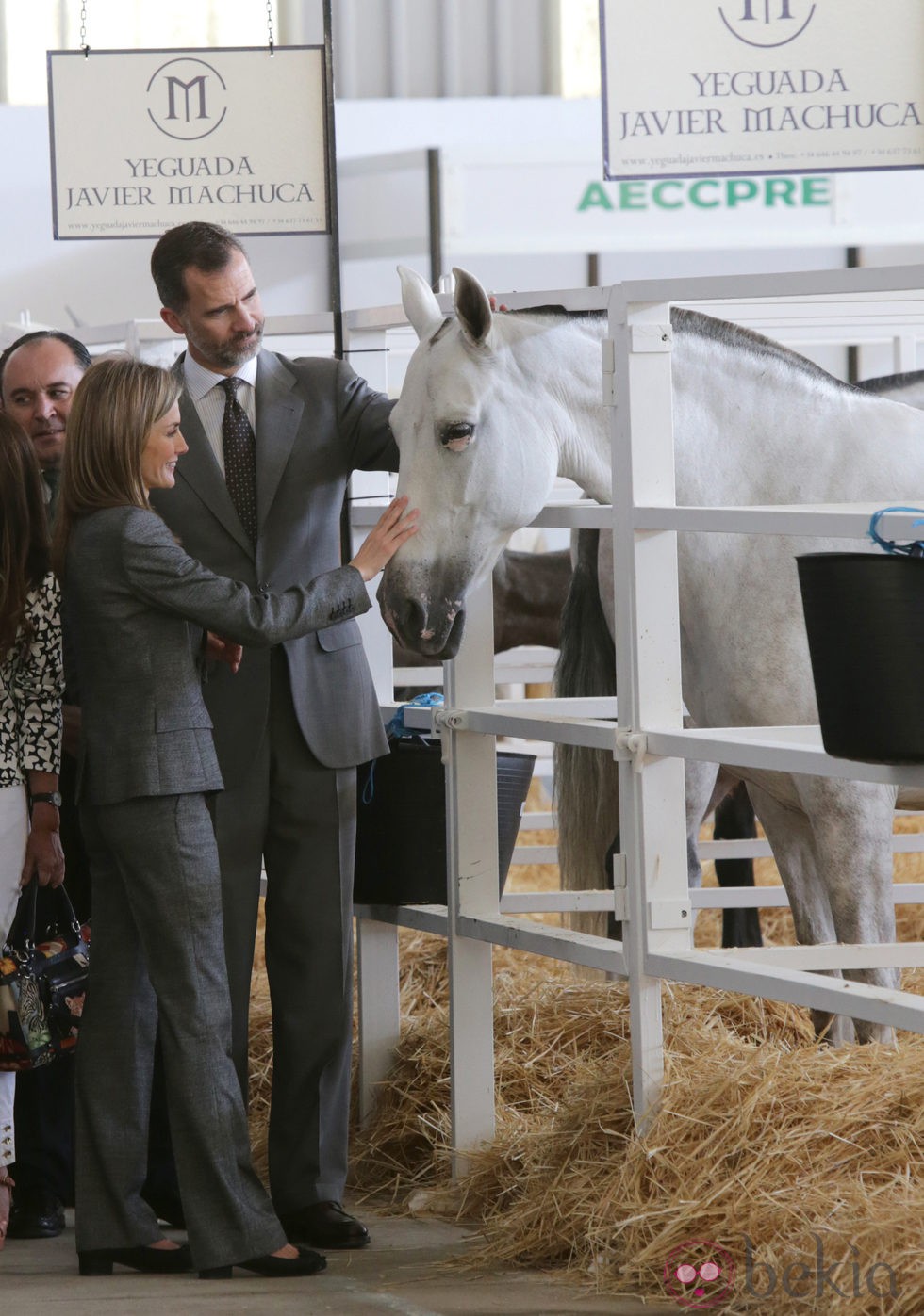 Los Reyes Felipe y Letizia acarician a un caballo en Zafra