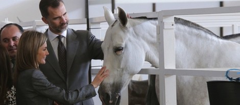 Los Reyes Felipe y Letizia acarician a un caballo en Zafra