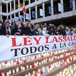 Moncho Borrajo, Pilar Bardem, Roberto Álvarez y Toni Antonio en la manifestación contra la Ley Lasalle