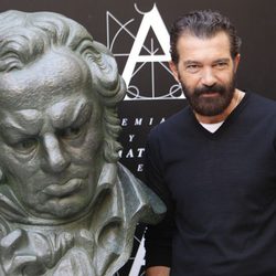 Antonio Banderas posa para la prensa durante la rueda de prensa del Goya de Honor 2015