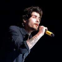 Zayn Malik durante un concierto en Pasadena el 10 de septiembre de 2014