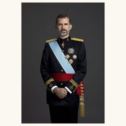 Foto oficial del Rey Felipe VI con uniforme de gran etiqueta de Capitán General del Ejército de Tierra