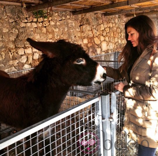 Malena Costa dando de comer a un burro en Mallorca